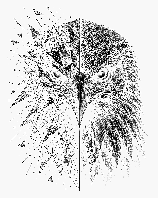 eagle portrait.xcs