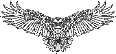 Adler_geometric.xcs