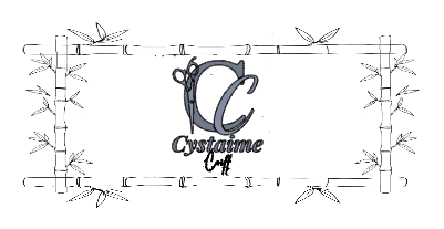 plateau cystaime coiff good.xcs