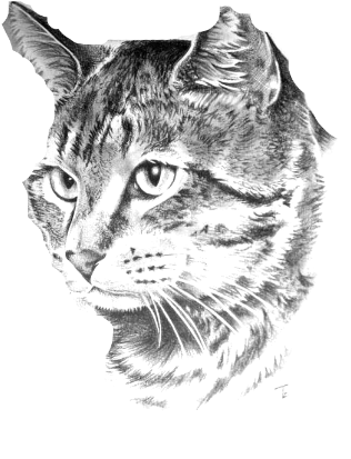 cat1.xcs