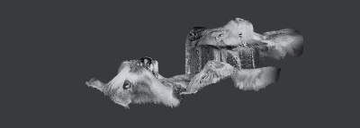 Gravure interne photo animaux.xcs