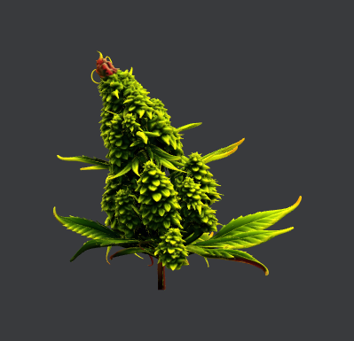 Sweet Bud INNER.xcs