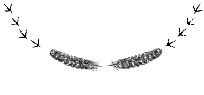Untitled.xcs