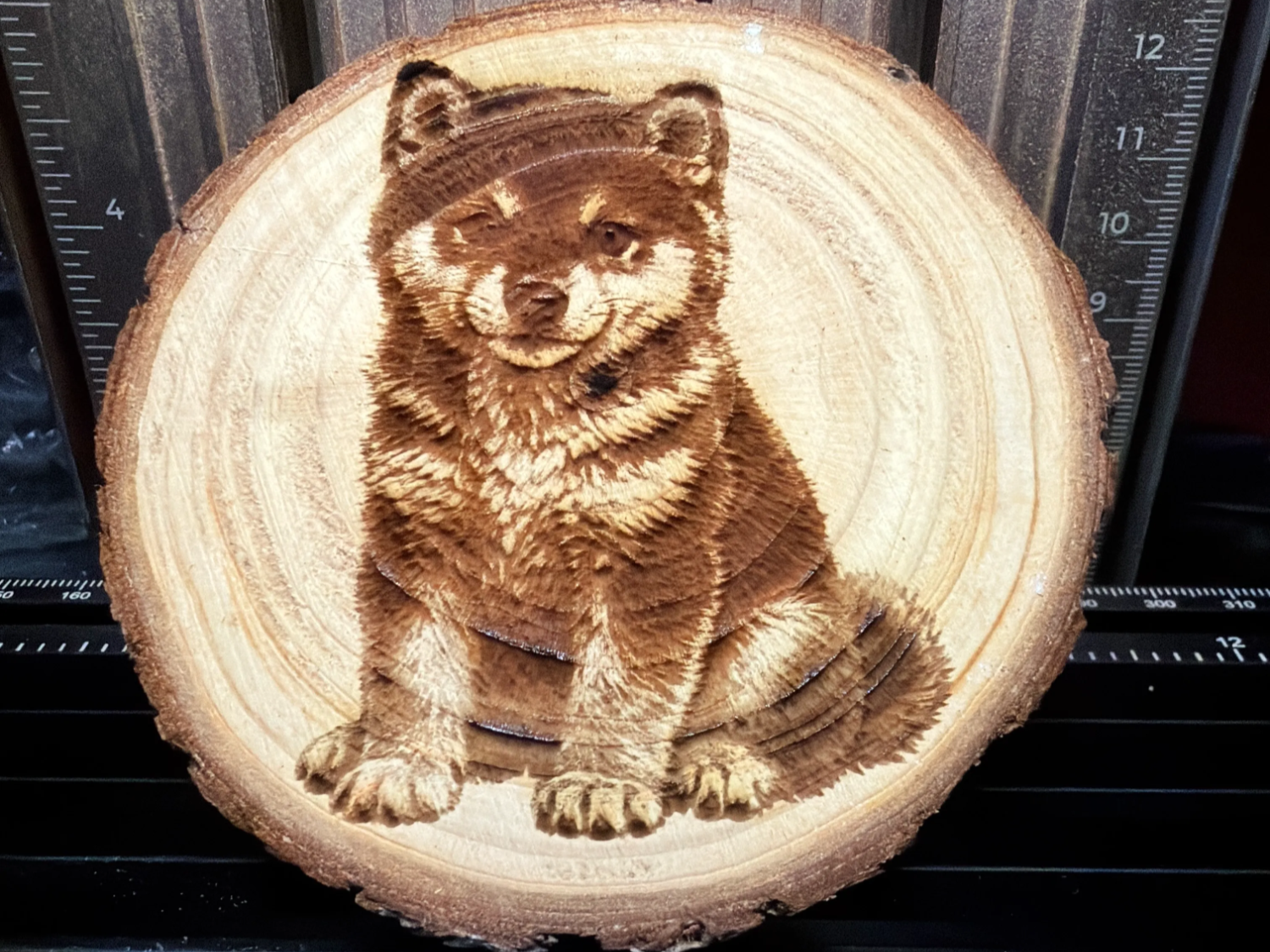 Shiba Inu puppy and adult dog on the other side portrait sublimation coasters idea