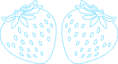 Strawberry.xcs