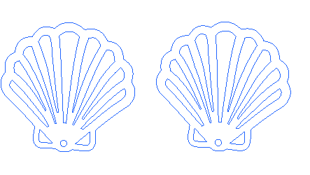 coquillage-stjacques.xcs