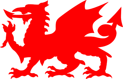 WELSH DRAGON.xcs
