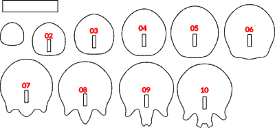Crane-Carton-5mn.xcs