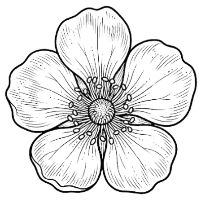 Untitled.xcs