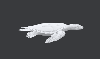 tortue aquatique 3D.xcs