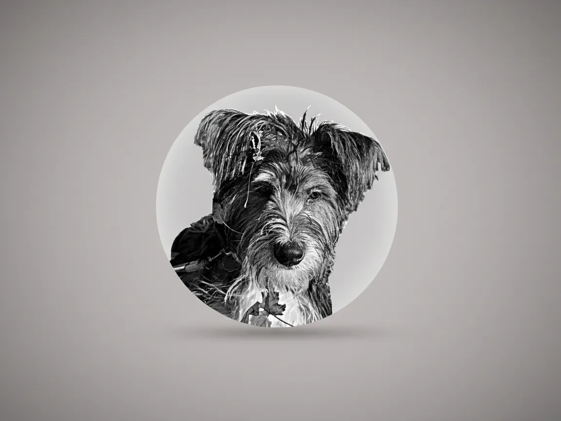 Engraved customer dog photo on glass ornament