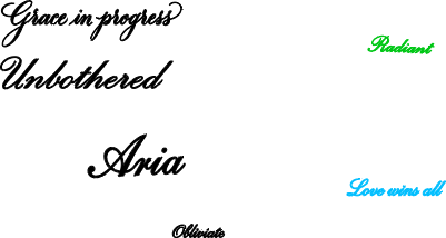 Custom Hair Clips.xcs