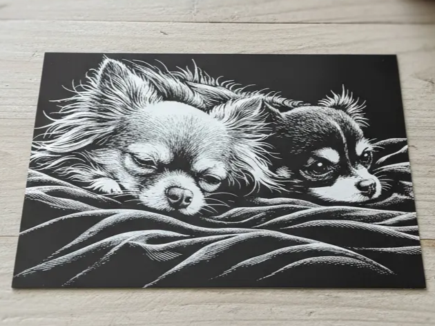 Laser Engraved Black Business Card of Two Resting Chihuahua's laser engraved pet portrait idea
