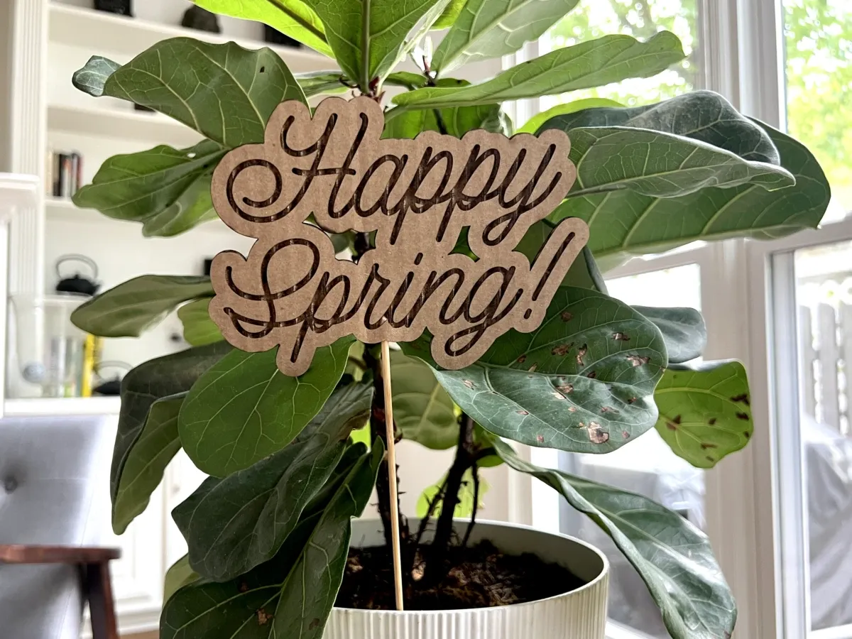 Pancarte Happy Spring