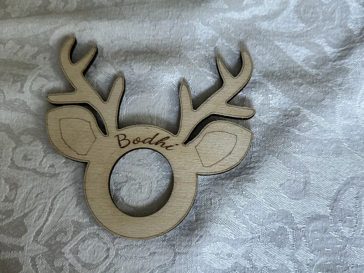 Christmas Reindeer Napkin Holders with Names