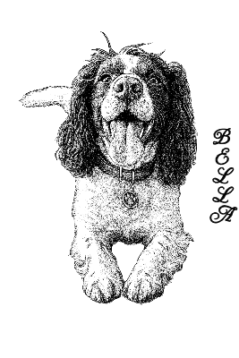 BellaWithoutBackgroundUse.xcs