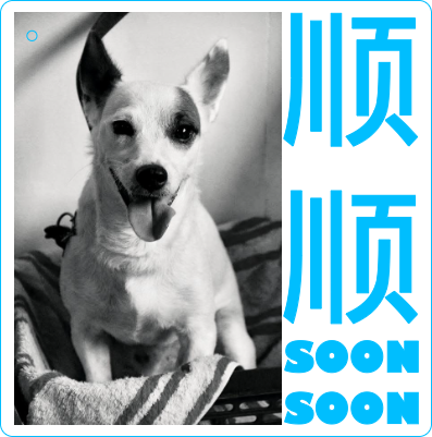 Soon2_img_layout.xcs