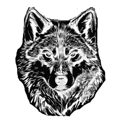 Wolf coaster 3.xcs