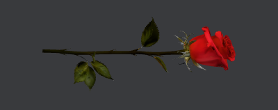 Rose rouge 3d.xcs