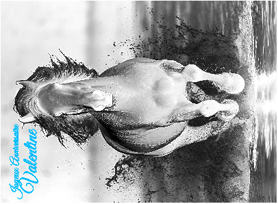 aniversaire-velentine.xcs