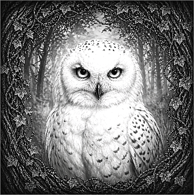 owl coaster.xcs