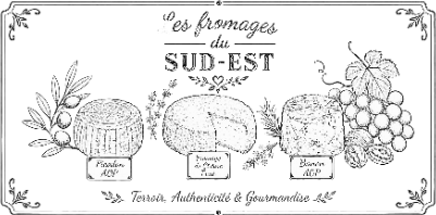 fromage xtool.xcs