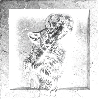 carrelage-3D-loup1.xcs