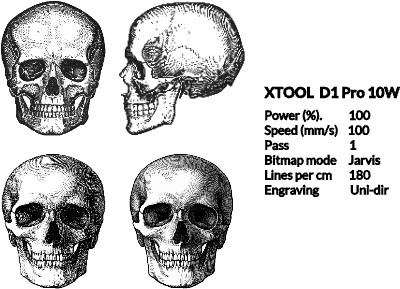 01_skulls.xcs