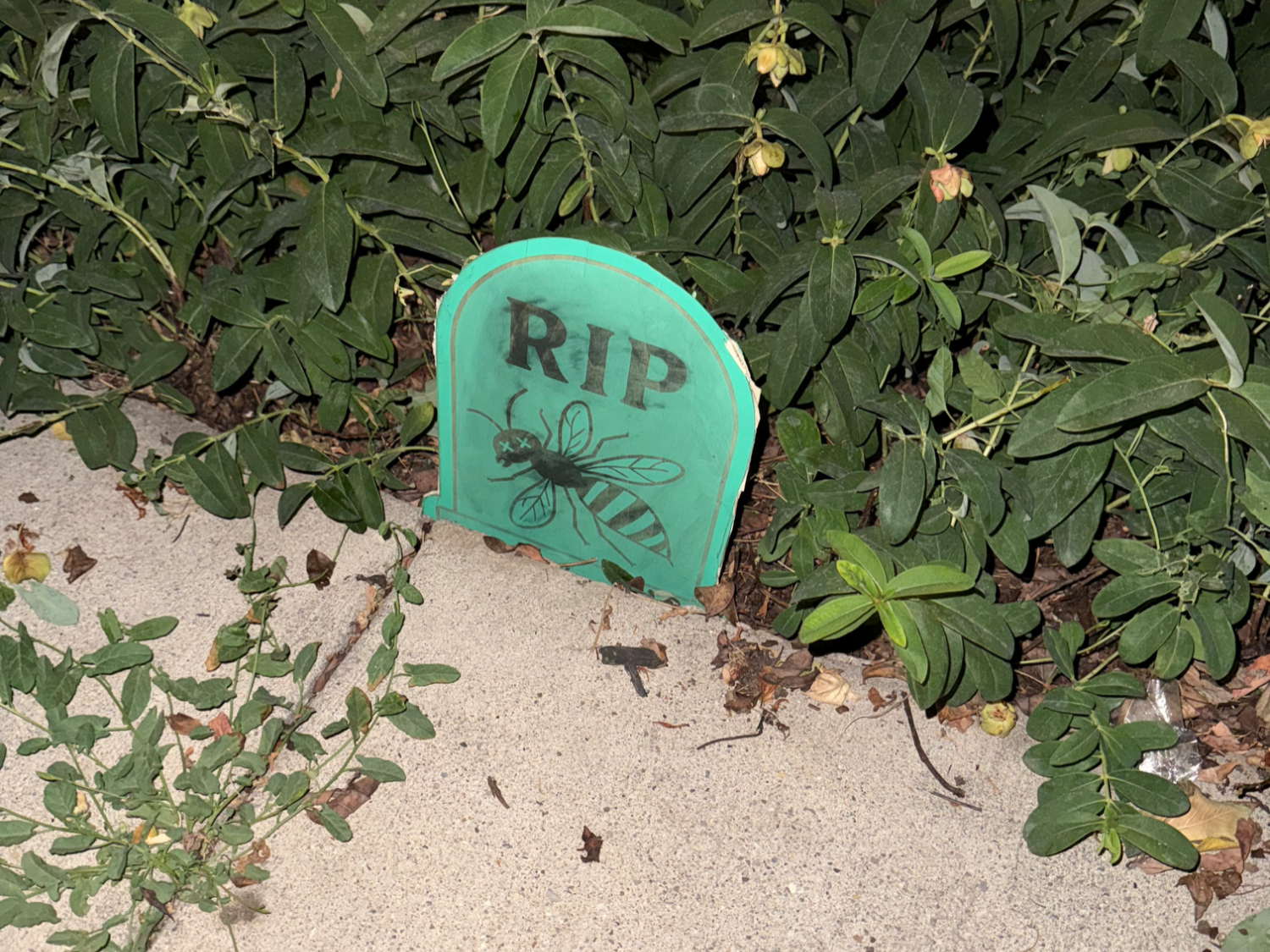 Pierres tombales de jardin pour insectes pour Halloween, décoration d'Halloween pour extérieur découpée au laser