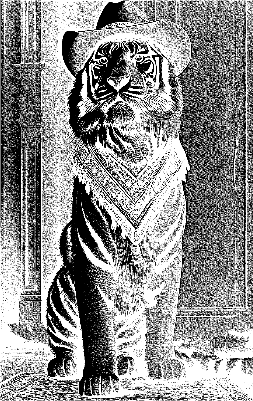 Tiger 3.xcs