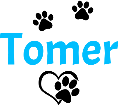 Médaille Tomer (IR 2w).xcs