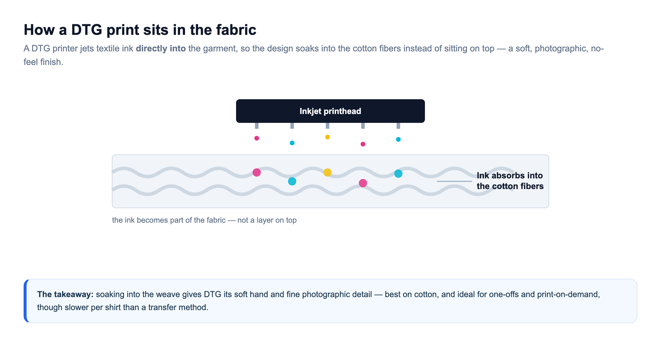 Cross-section showing DTG ink absorbing into cotton fibers