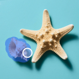 Discover More Tools Magic Eraser