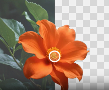 Discover More Tools Background Remover
