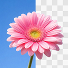 aiamke.context.transparent_generation